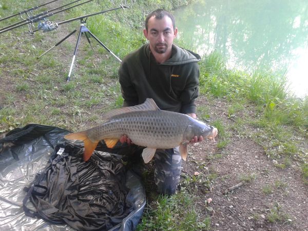 commune 10.5 kg jc.jpg